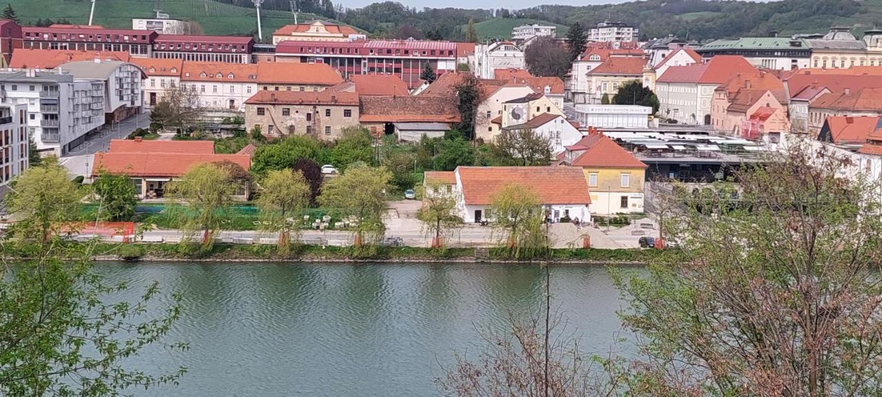 La Studio Maribor Luaran gambar